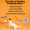 Dog Prebiotics Digestive Snacks, Intestinal Health Products