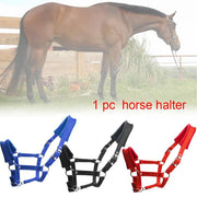 Soft Padded Pony Horse Halter Bridle Headstall Head Collar Horse Riding Stable Horse Bridle Headstall Accessories Western