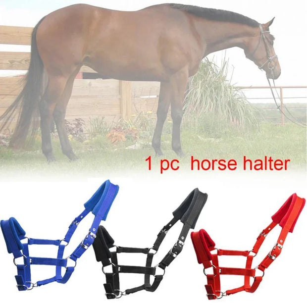Soft Padded Pony Horse Halter Bridle Headstall Head Collar Horse Riding Stable Horse Bridle Headstall Accessories Western