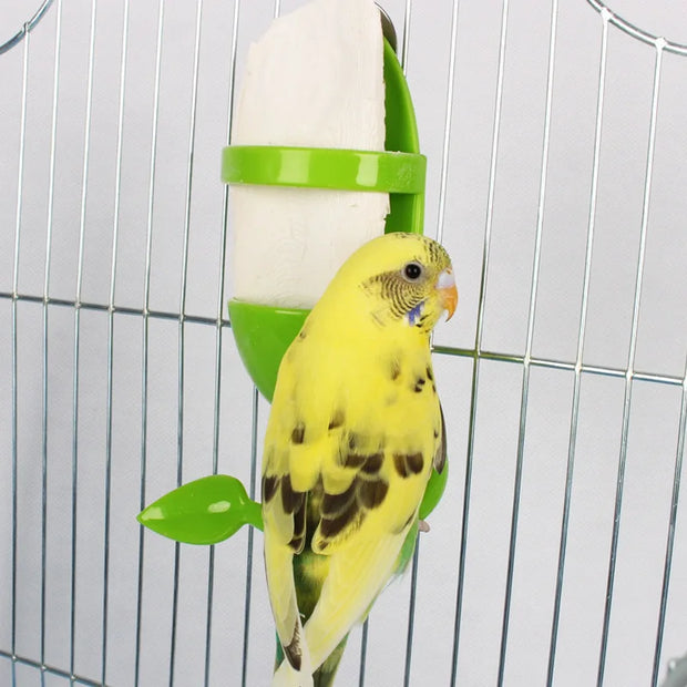 1pcs Bird Cuttlebone Holder Bird Cage Feeding Holder Vegetable Fruits Cuttlebone Holder for Parrot Budgies Parakeet Cockatiel