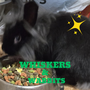 Whiskers & Wabbits Wonderland